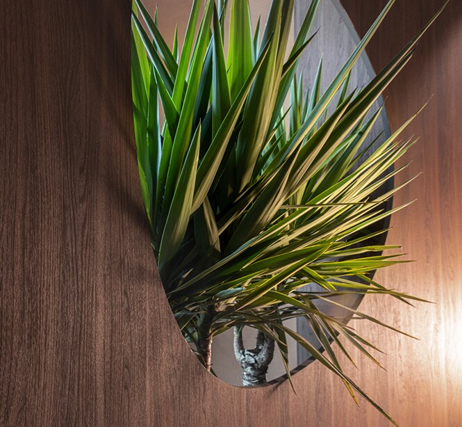 3M DINOC dark wood finish wall with greenery coming through window.