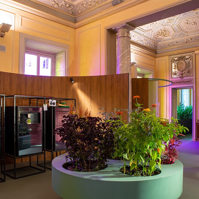 Conceptual interior layout featuring modern furnishings, colored lighting, planters with flowers, and surfaces covered with solid colored and DINOC films.