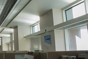 3M™ Window Films optimize natural light and keeps offices bright without creating glare.