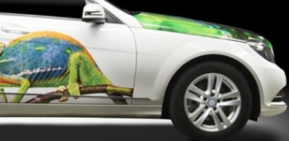 3M™ Envision™ Pint Film 48C 
