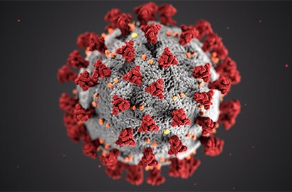 Coronavirus (COVID-19) General Information