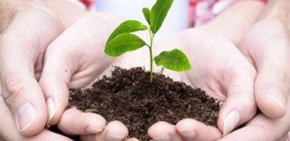 Health Care Sustainability
