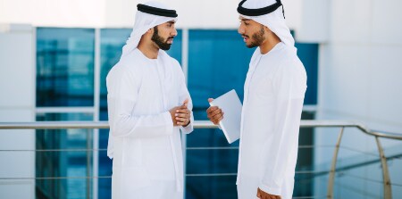 CDI Consultancy Program
